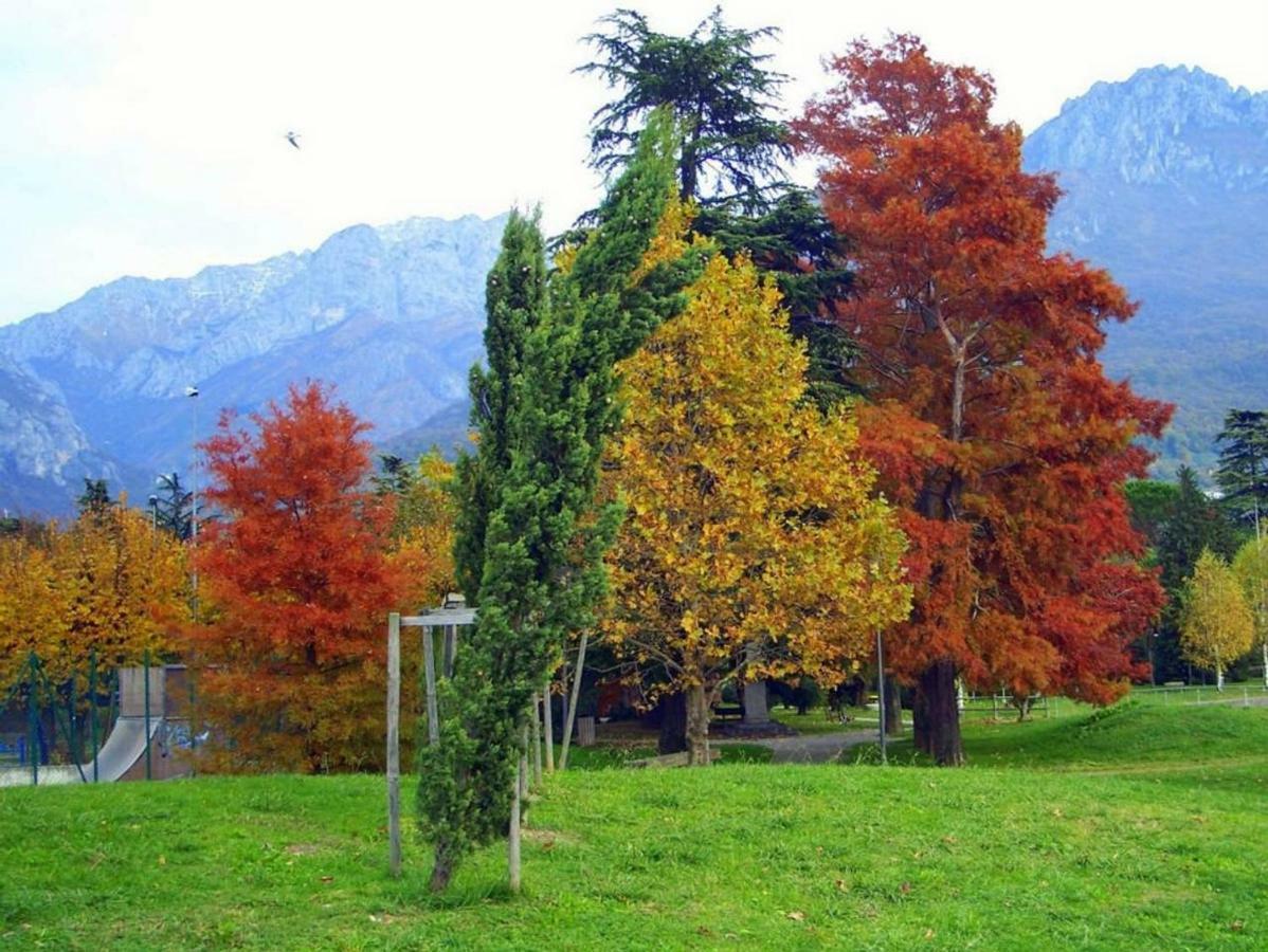 La dimora del viandante - Como Lake Mandello del Lario Esterno foto