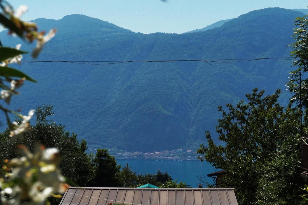 La dimora del viandante - Como Lake Mandello del Lario Esterno foto